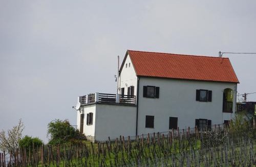 Eisenberg an der Pinka House | Kellerstöckl Eisenberg/Pinka Weiner