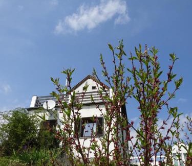 Eisenberg an der Pinka House | Kellerstöckl Eisenberg/Pinka Weiner