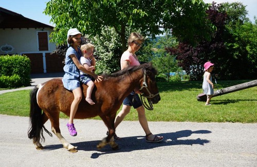 Steinbach an der Steyr House | Kinderbauernhof Salmanner