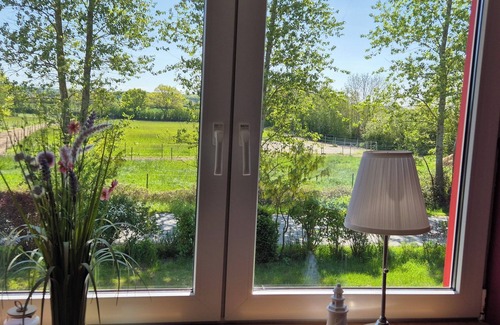 Stoltebuell Apartment | Kleiner Stern - Vacation at Schlei and Baltic Sea - Kappeln, Gelting, Maasholm