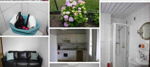 Oberzwehren Apartment | kleines Haus mit Wintergarten