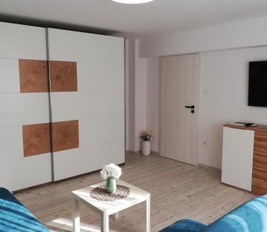 Sfantu Gheorghe Apartment | KM Art Apartman