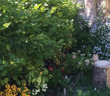 Flachau Ski Chalet | Knusperhauschen Sonnegg