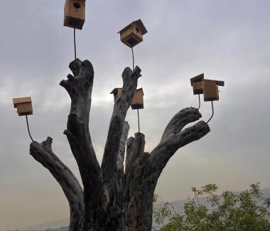 Kfardebian Bed & Breakfast | KOALA HUT - SevenOaks Treehouses - Luxurious Treehouse with outdoor hot tub
