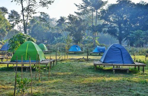 Golaghat Hotel | Kodom Bari Retreat, Kaziranga