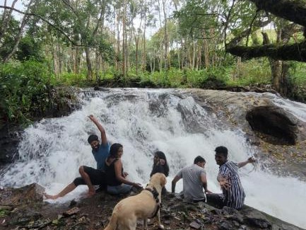 Suryanelli Other | Kolukkumalai Valley Camp