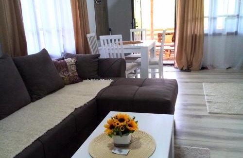 Stara Planina Apartment | Konak Jerma