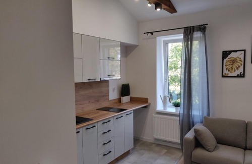 Pabianice Apartment | Konopnickiej 9 Studio z antresolą PTAK, Orientarium, Atlas ARENA, Szpital, Mandoria, Fala, Centrum Zdrowia Matki Polki, Rodzina, Family, bezpłatny parking