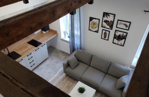 Pabianice Apartment | Konopnickiej 9 Studio z antresolą PTAK, Orientarium, Atlas ARENA, Szpital, Mandoria, Fala, Centrum Zdrowia Matki Polki, Rodzina, Family, bezpłatny parking