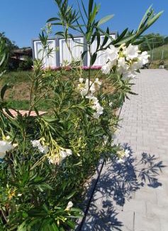 Fantanele Apartment | Konténer kulcsosház