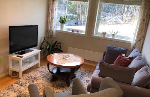 Atra Apartment | Koselig leilighet i Austbygde med Wifi