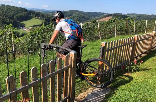 Gamlitz House | Kranach 5 - Wohnen beim Wein