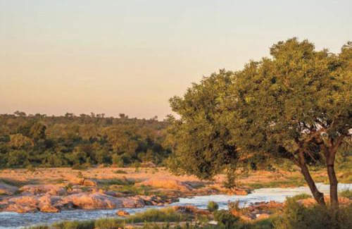 Buffelspruit Cabin | Kruger National Park Mjejane Private Game Reserve
