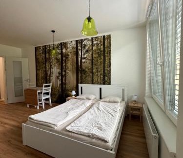 Cesky Krumlov Apartment | Krumlovský Vltavín