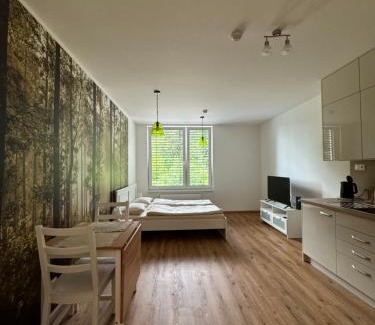 Cesky Krumlov Apartment | Krumlovský Vltavín