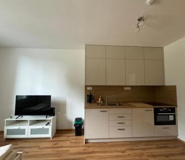 Cesky Krumlov Apartment | Krumlovský Vltavín