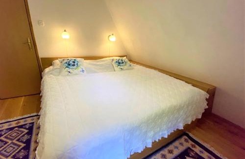 Mala Lesnica Ski Chalet | Kuća Homer