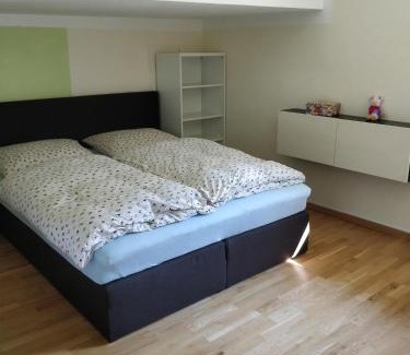 Bad Haering Apartment | Kurort Tirol