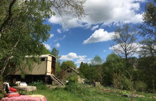 Ziegenhagen Other | Kuscheliger Zirkuswagen im Wildgarten