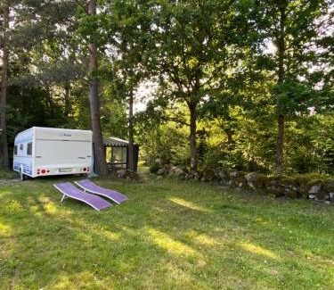 Orkelljunga Municipality Other | Lärkan