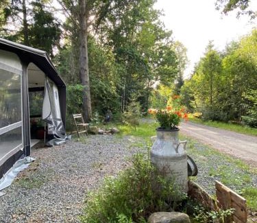 Orkelljunga Municipality Other | Lärkan