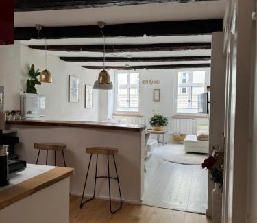 Lueneburg Apartment | Lüneburg Zentral