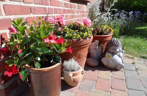 Muritz Apartment | Lütt Verbliev