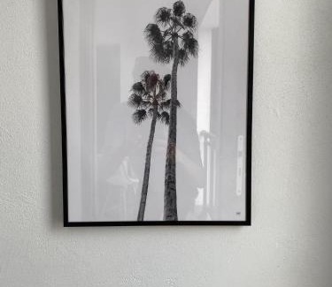 St Gilles-les-Bains Apartment | L'Été sans fin