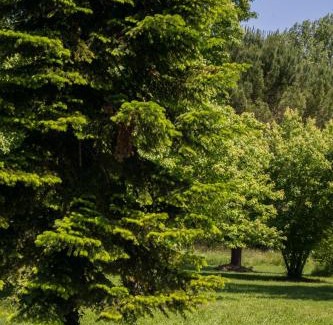 Issigeac House | L'ancienne gare d'Issigeac,piscine,grand terrain,4 personnes