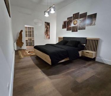 Centre Ville d'Ales Apartment | L'avéjan 170 m² 3 chambres Alès centre ville