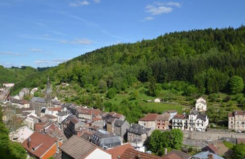 Plombieres-les-Bains Apartment | L'Empereur, sa Femme et le petit Prince