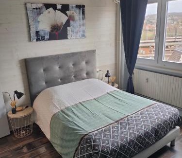 Sarrebourg Apartment | L'Europ'appart : Gare, Center parcs, Parc St Croix