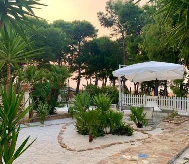 Custonaci Bed & Breakfast | L'oasi Una Pineta Sul Mare
