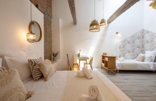 Castres Apartment | L'Opale - Duplex Calme & Confort en Hypercentre