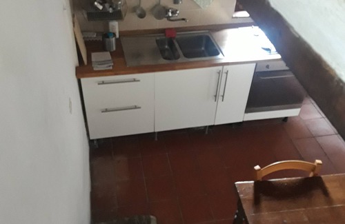 Petrognano Cottage | L'Orto dei Bruchi: Il Timo