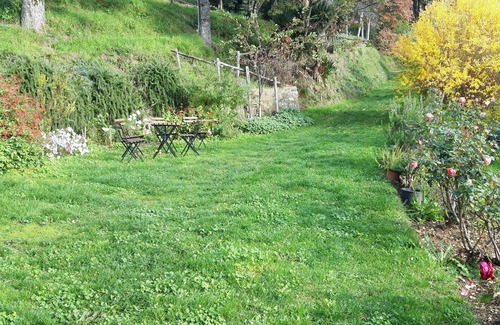 Petrognano Cottage | L'Orto dei Bruchi: Il Timo
