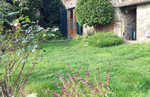 Petrognano Cottage | L'Orto dei Bruchi: Il Timo