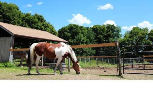 Torrington Bed & Breakfast | L&R