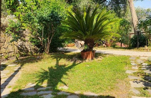 Gorra Bed & Breakfast | L'Uliveto D'Argento