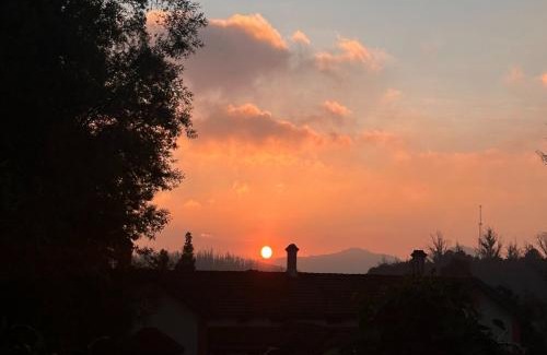 Ooty Bed & Breakfast | LA Address Retreat - The Heritage Homestay