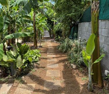 Le Portail Apartment | La Bananeraie Apt 35m2 piscine jardin tropical parking privé