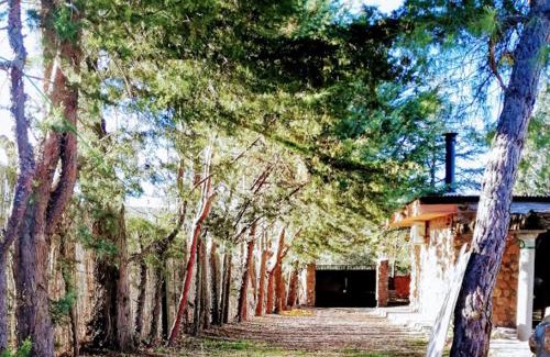 Ruidera House | La Cabaña de Piedra
