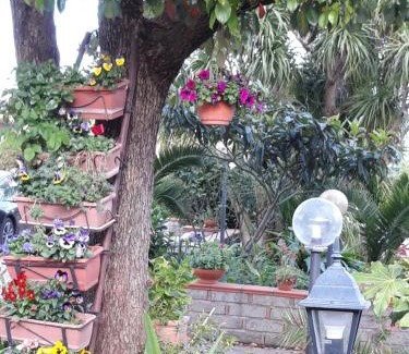 Velletri Bed & Breakfast | La Camelia B&B