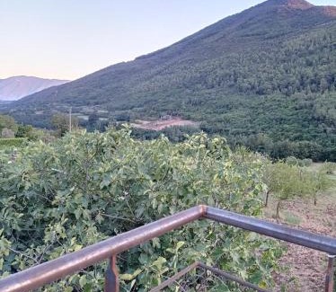 Fontanavecchia Bed & Breakfast | La Carrozza sul Titerno