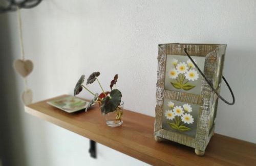 Aracena House | LA CASA DE ELIAS