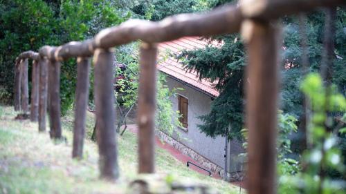 Pescia House | La casa del bosco