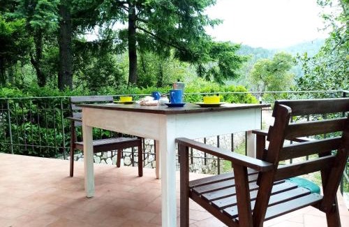 Pescia House | La casa del bosco