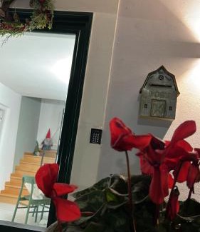 Naples House | La Casa del Bosco - Unique two floors House with garden