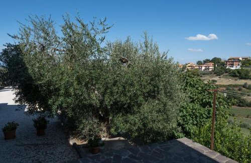 Citta della Pieve Apartment | La Casa di Sara