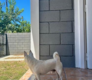 Tanti Apartment | La casita de Oli